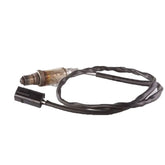 Bravo Oksijen Sensörü